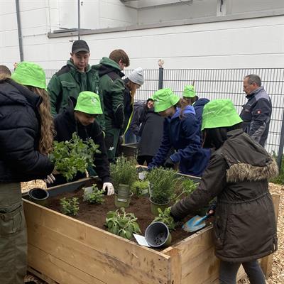 16.04.2024 - Dietzenbacher 6. Klasse topft und wässert die Pflanzen angeleitet von den Auszubildenden des Unternehmens Gebr. Fischer