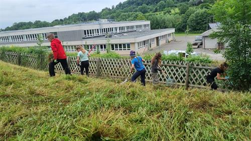Aus Grau mach' Grün: Schüler gestalten Schulgarten aktiv mit